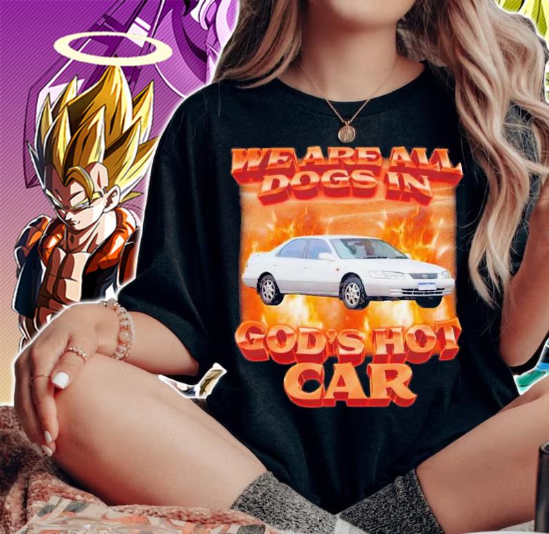 Swag Stimulus We Are All Dogs In God's Hot Car T-Shirt t-shirt
