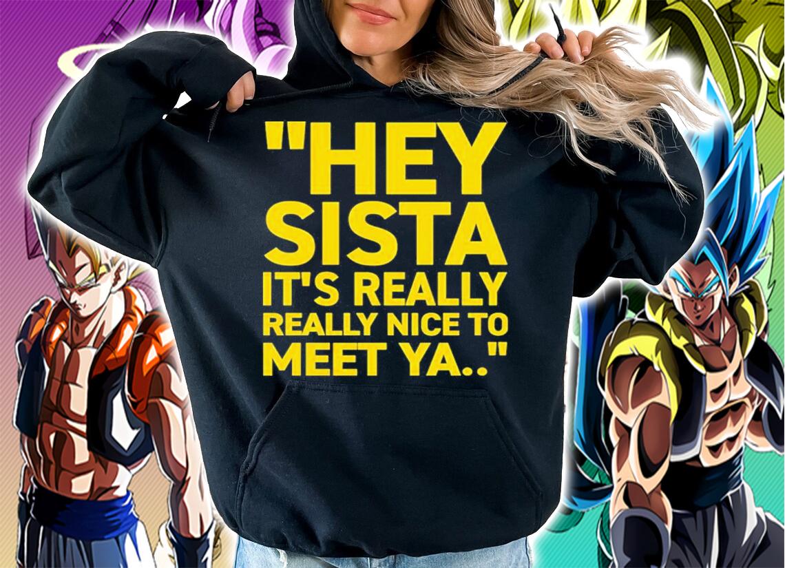 Hey Sista It's Really Really Nice To Meet Ya Trash Fit Pics Shirt t-shirt hoodie